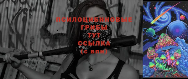 спайс Михайлов