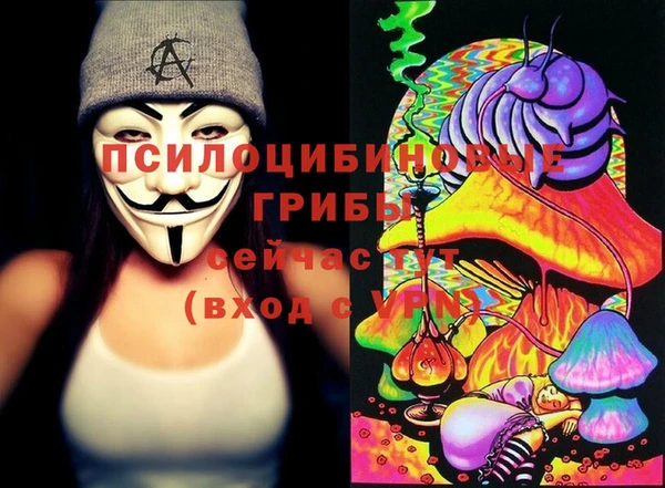 Альфа ПВП Михайловск